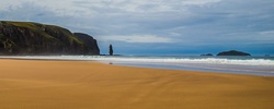 P9142328-2.jpg