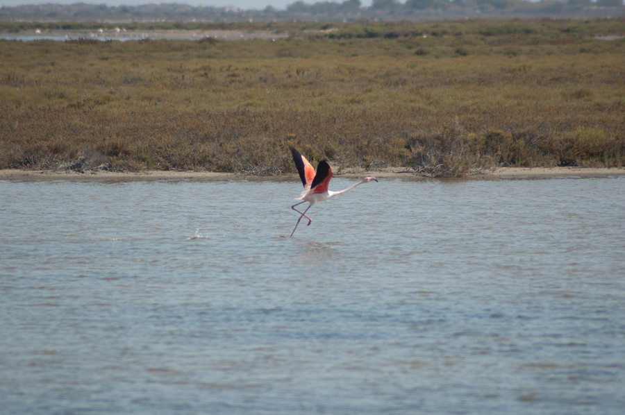 DSC_8832.jpg