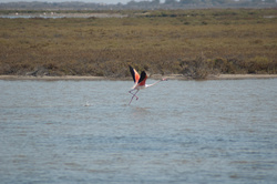 DSC_8832.jpg