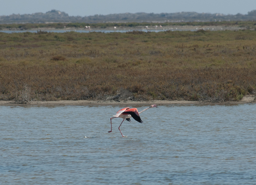 DSC_4564.jpg