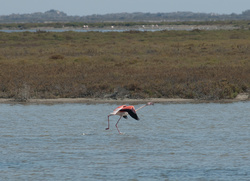 DSC_4564.jpg
