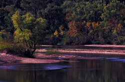 paisaje con brisa - [ breezed landscape ]