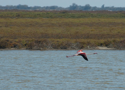 DSC_4565.jpg
