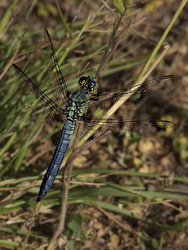 Austin Creek Recreation Area