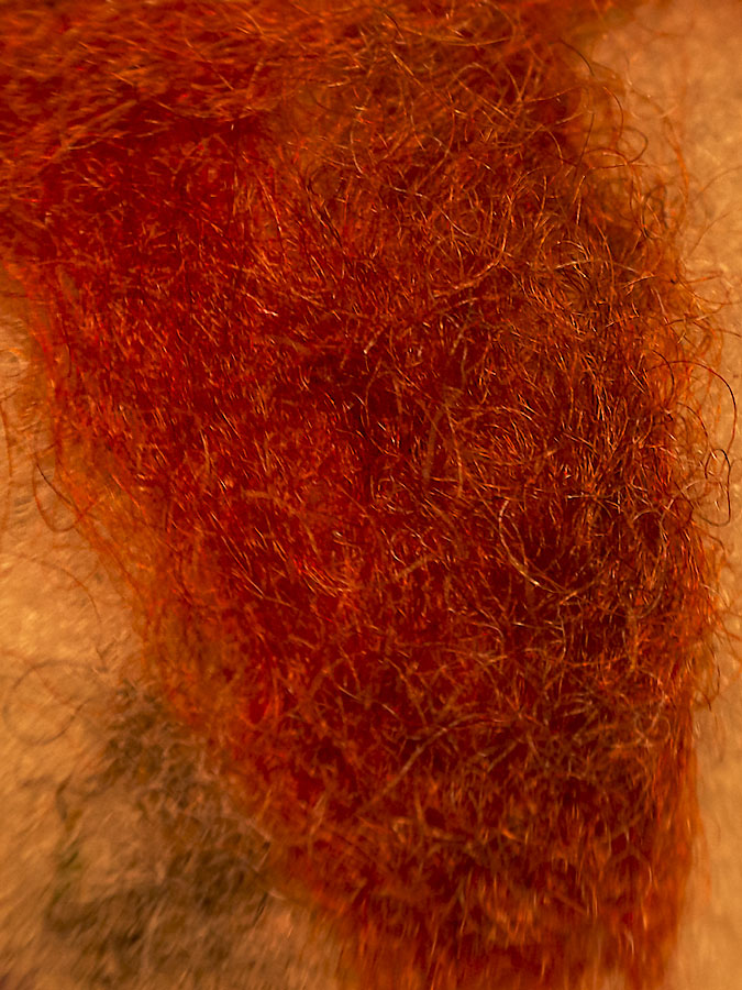 Hairy