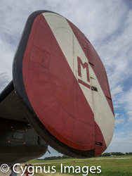 _8044304.jpg