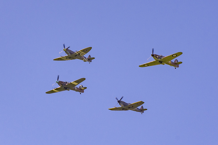 _DSC7879.jpg