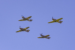 _DSC7879.jpg