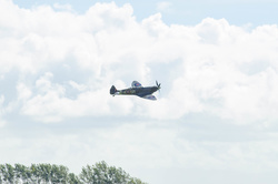 _DSC7866.jpg
