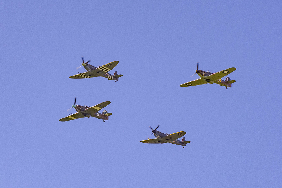 _DSC7879.jpg