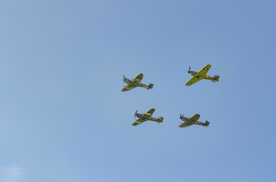 _DSC7880.jpg