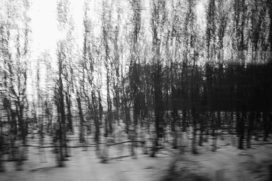 -IMG_3132