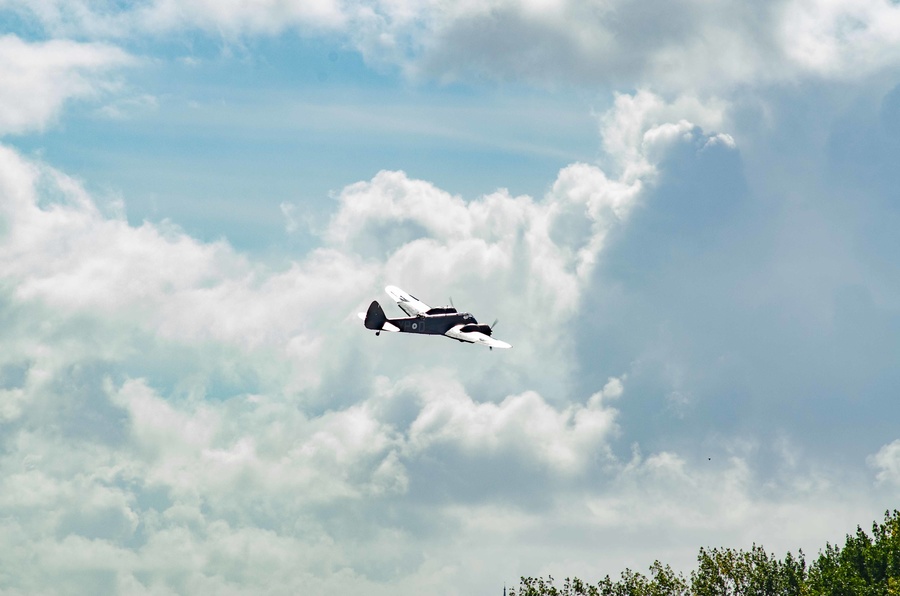 _DSC7911.jpg