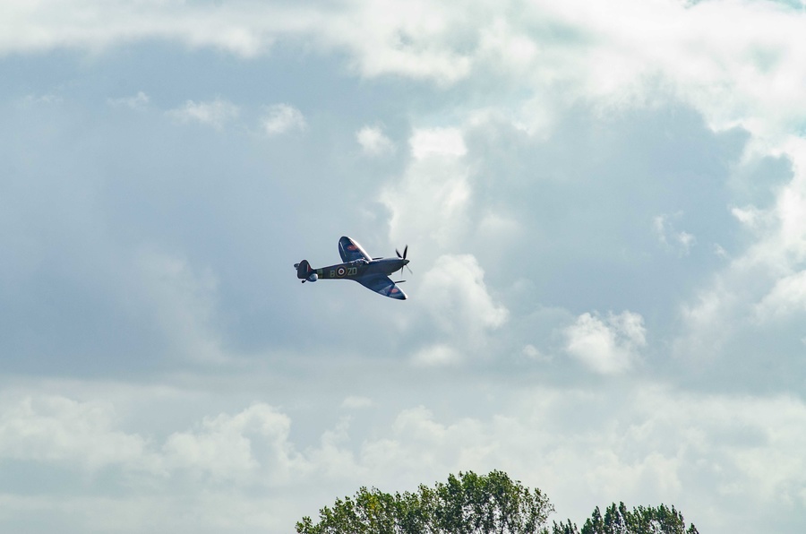 _DSC7916.jpg