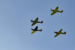 _DSC7932.jpg
