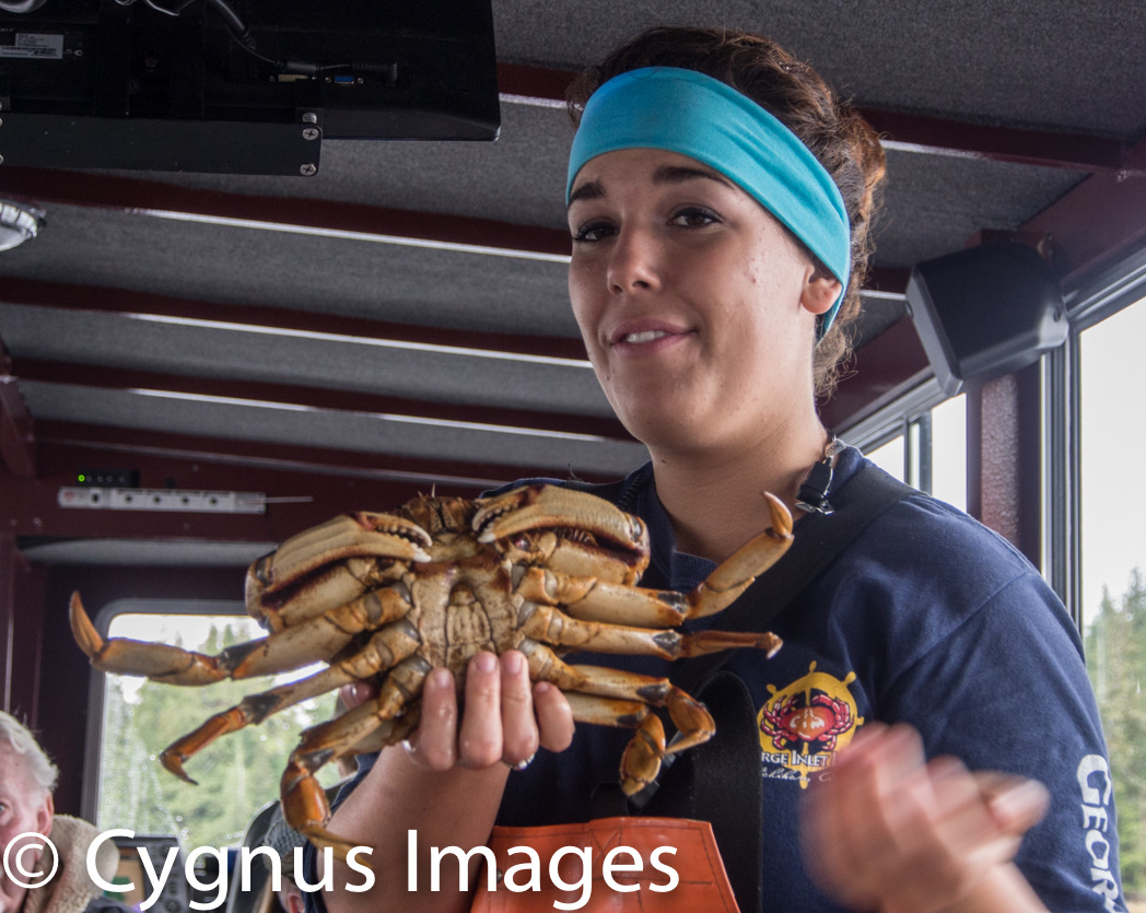 Kate and the Crab