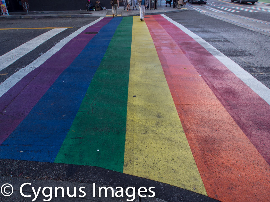 Rainbow Walk