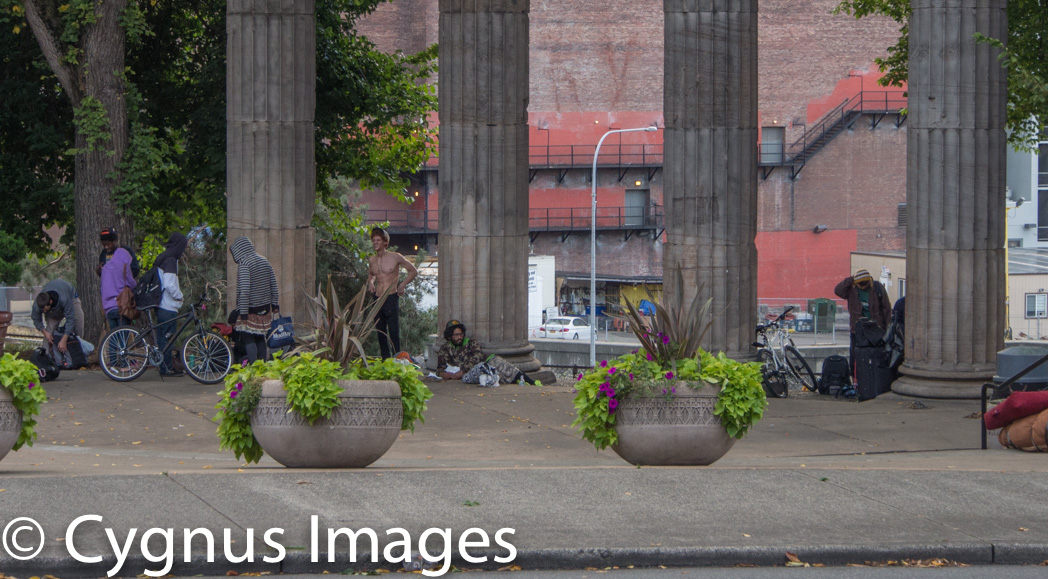 Plymouth Pillars Park