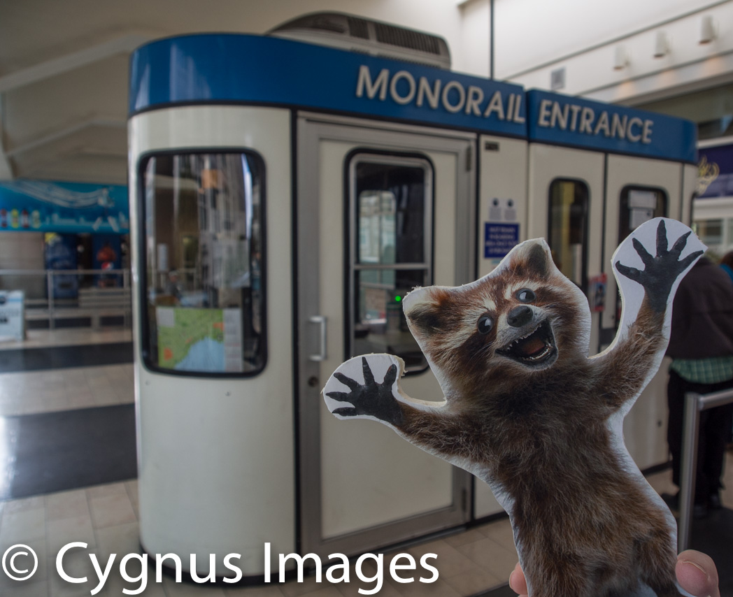 Rory Is Excited About the Monorail