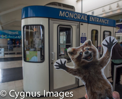 Rory Is Excited About the Monorail
