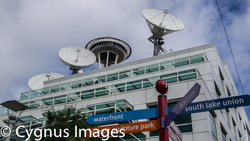Dish-Shaped Abstract