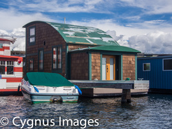 Tiny Houseboat II