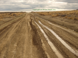One of the slower roads of the day