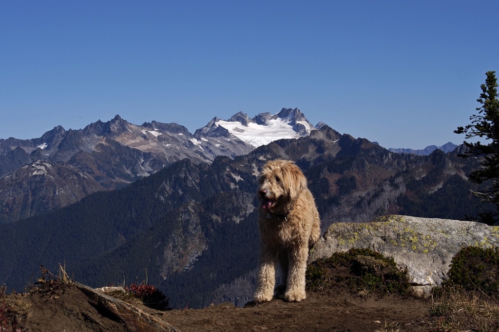 Green Mountain Lookout