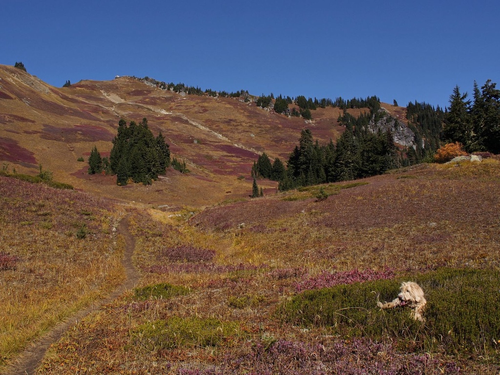 Green Mountain Lookout