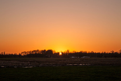 IMG_9864.jpg