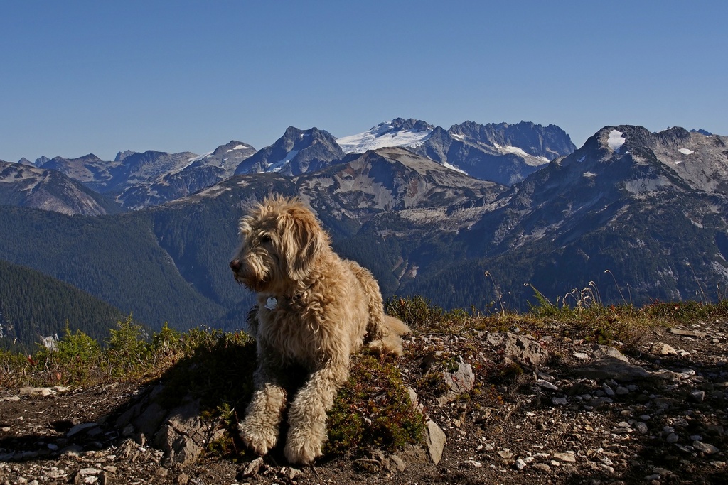 Hannegan Peak