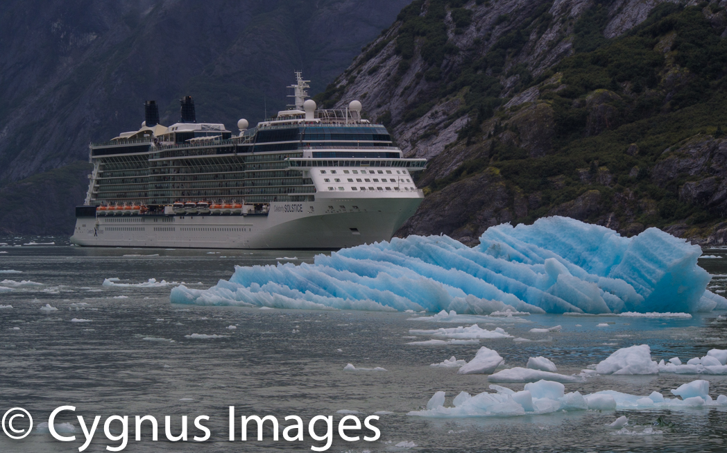 Tracy Arm Fjord I