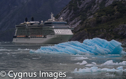 Tracy Arm Fjord I