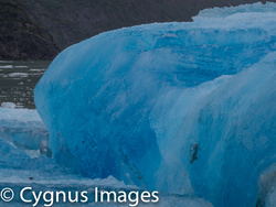 Blue Ice
