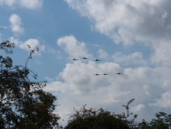 Battle of Britain flypast