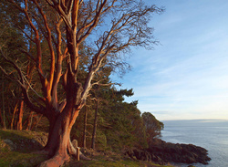 LimeKiln1012.JPG