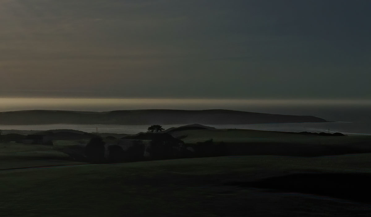Tomales Point