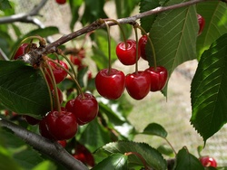 PC170189-1200
