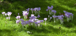 Giverny