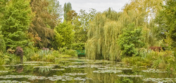 DSC_2032_edited-1.jpg