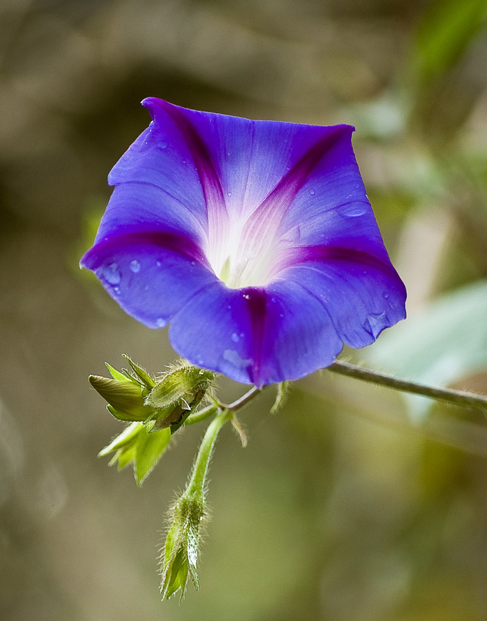 DSC_2052_edited-1.jpg