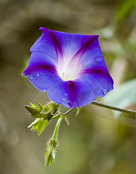 DSC_2052_edited-1.jpg