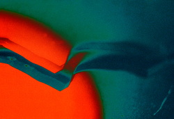 fractura - [ fracture ]