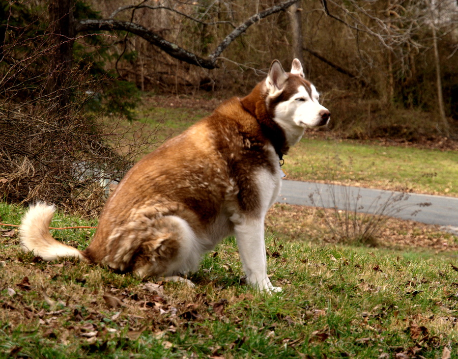 On guard