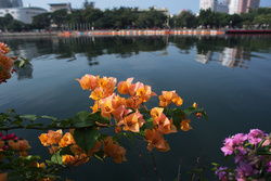 IMG_7509.jpg