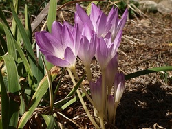 P3080520-E3-2-D1-1200-USM14