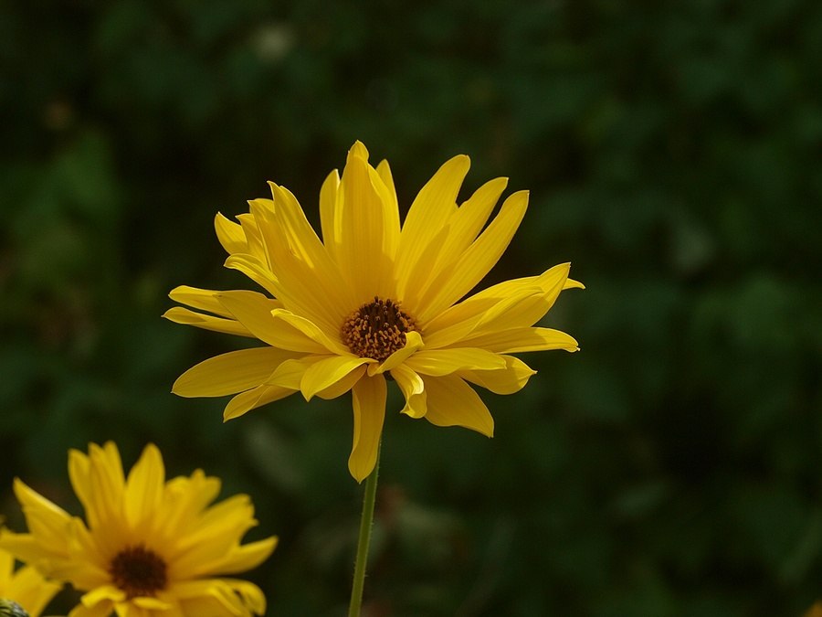 P3200597-E3-D1-1200-USM14