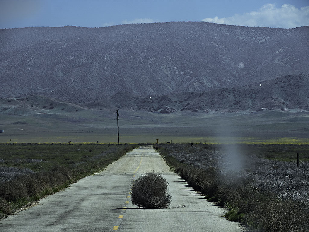 Tumbleweed & Dust Devil