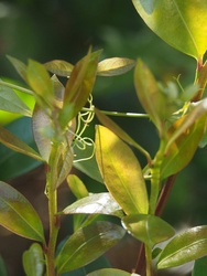 P4230839