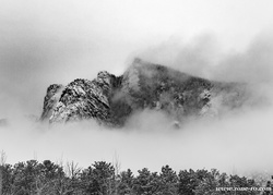 E3295064